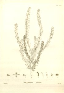 n250_w1150