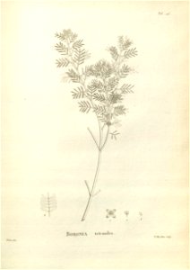 n235_w1150