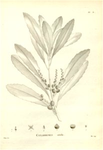 n160_w1150