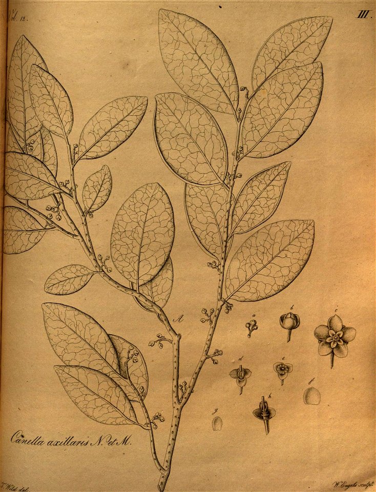 n112_w1150