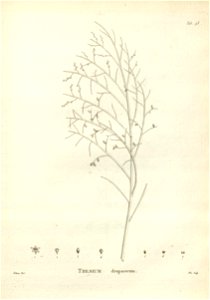 n203_w1150