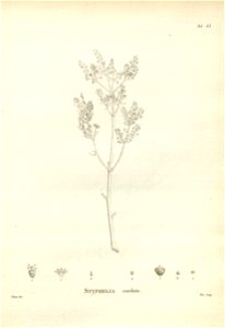 n173_w1150
