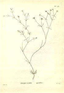 n158_w1150