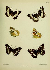 n396_w1150