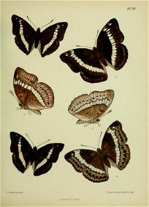 n306_w1150