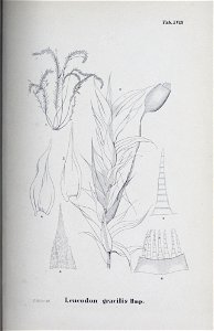 n116_w1150