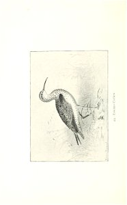 n255_w1150