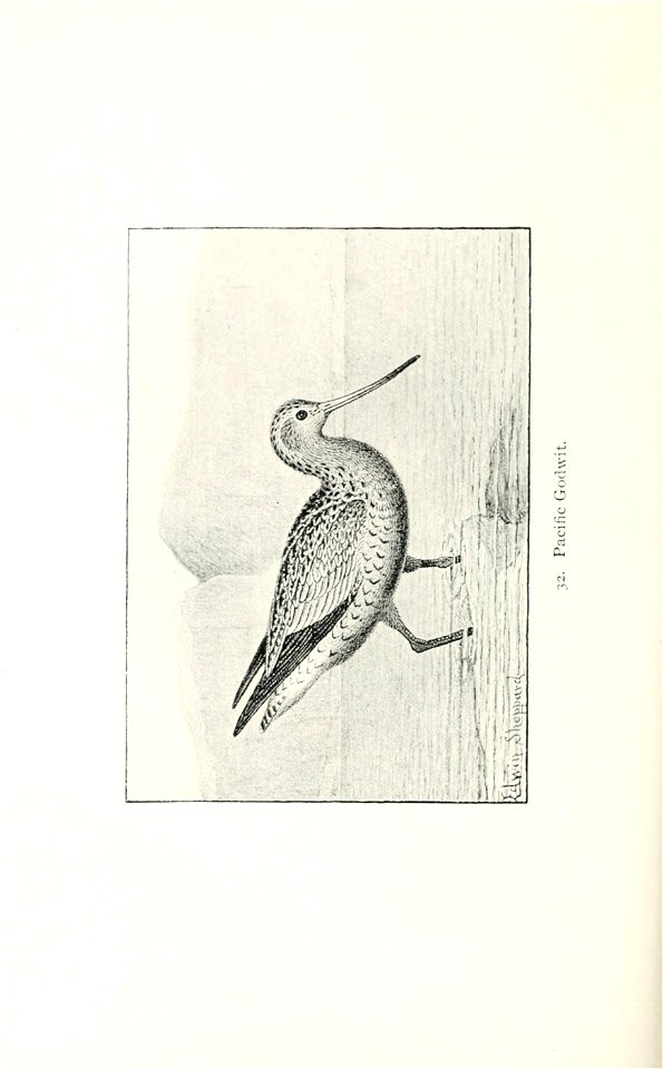 n171_w1150