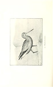 n171_w1150