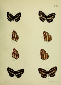 n452_w1150