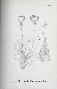 n140_w1150