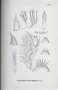 n110_w1150