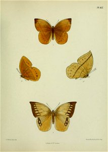n428_w1150