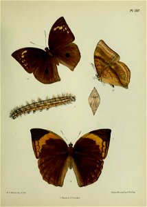 n398_w1150