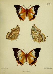 n456_w1150