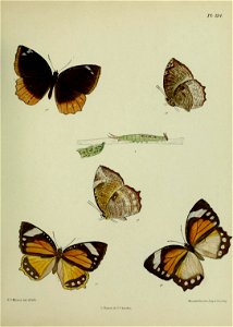 n366_w1150