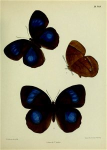 n394_w1150