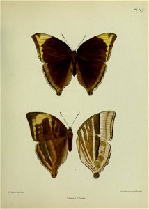n392_w1150