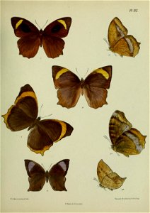 n362_w1150