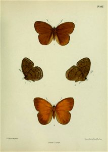 n422_w1150