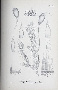 n102_w1150