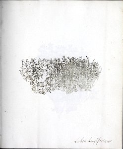 n42_w1150