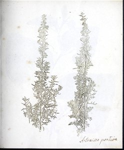 n12_w1150