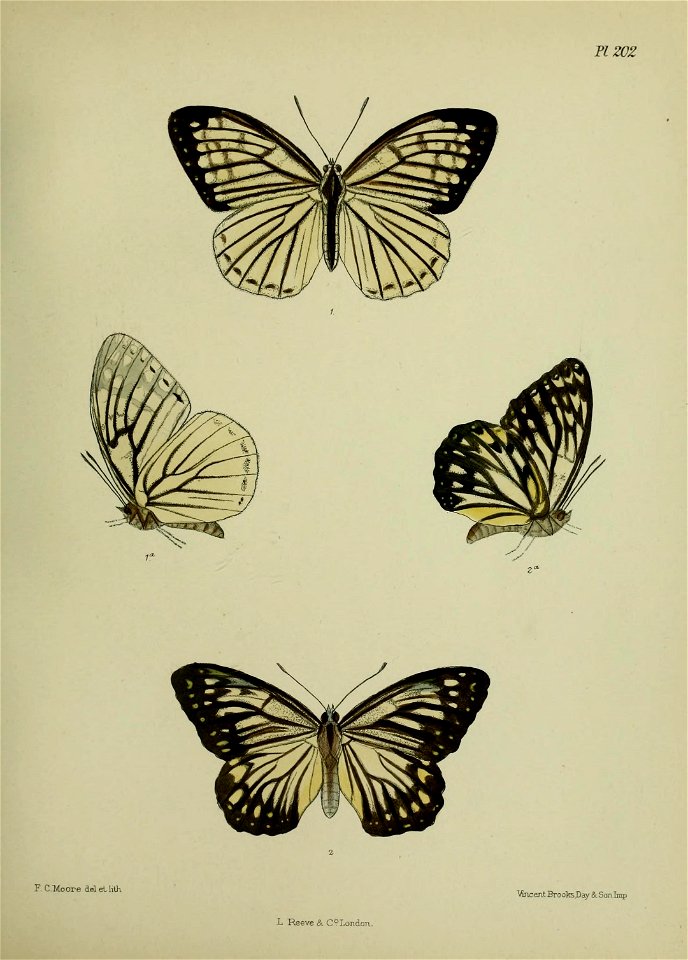 n290_w1150