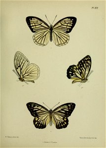 n290_w1150