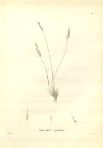 n132_w1150