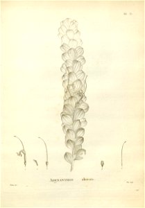 n147_w1150