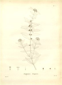 n117_w1150