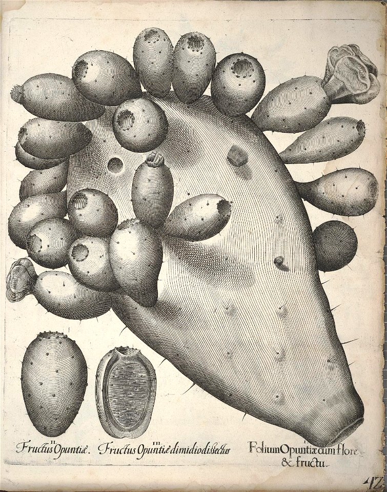 n381_w1150