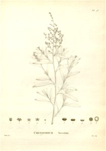 n206_w1150