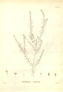 n176_w1150