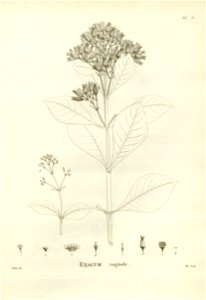 n161_w1150
