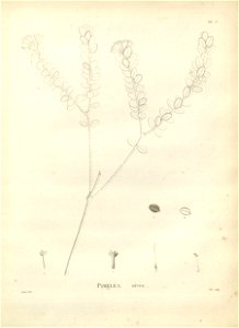 n116_w1150