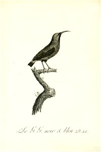 n189_w1150