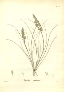 n145_w1150