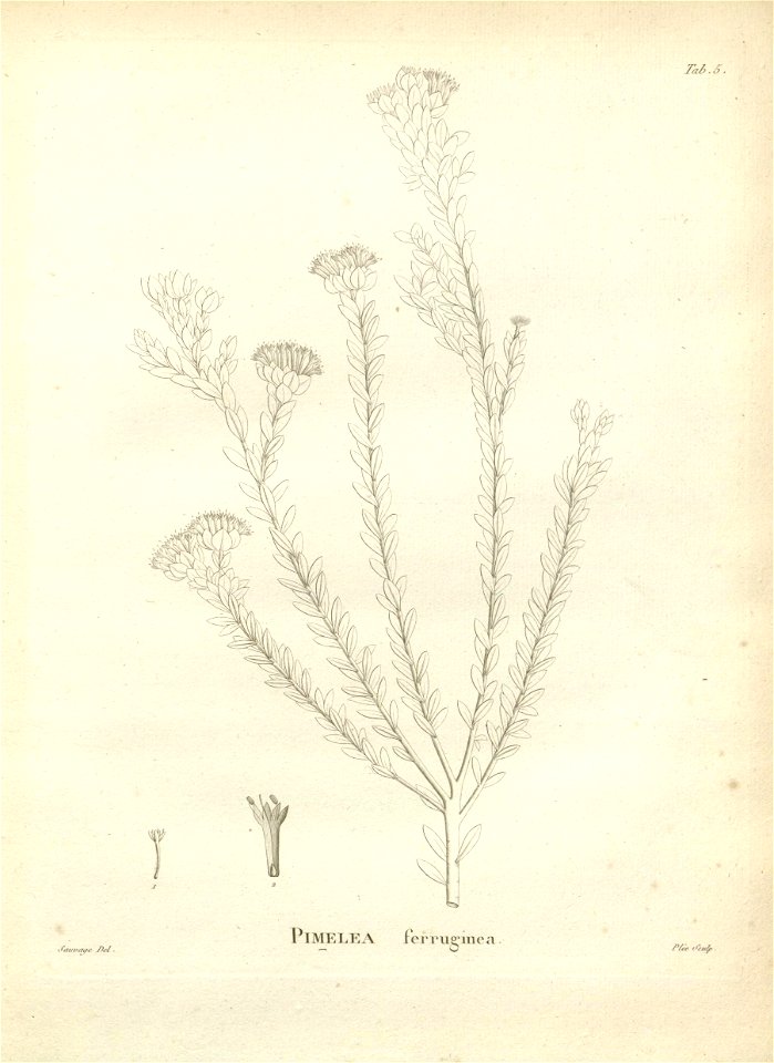 n115_w1150