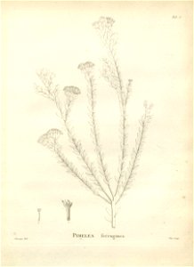 n115_w1150