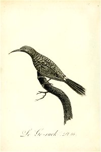 n345_w1150