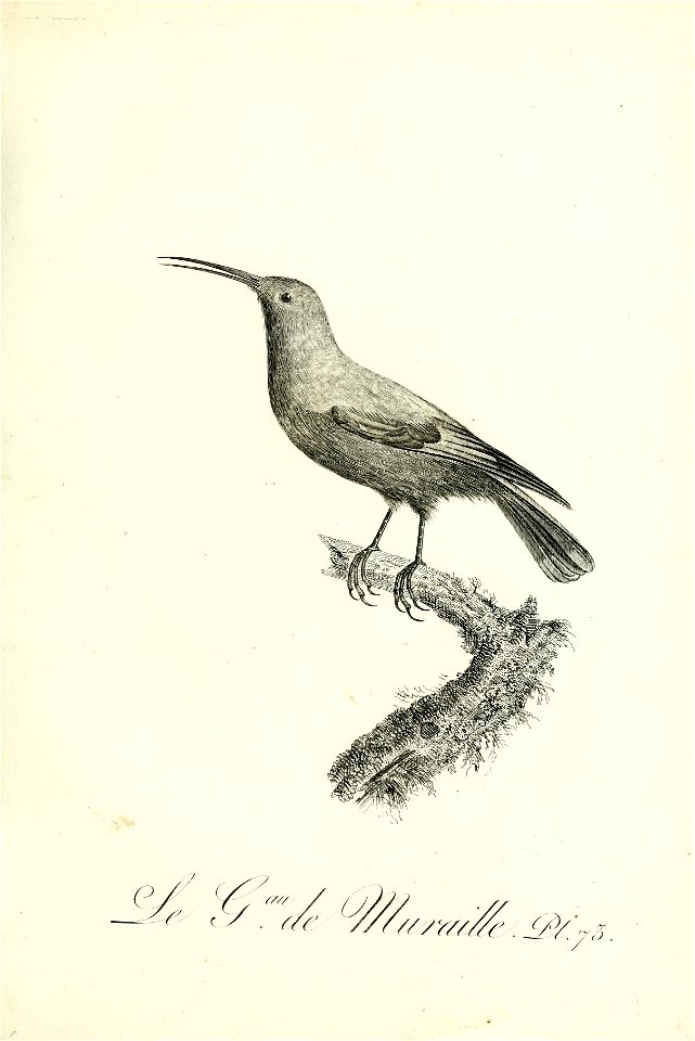 n292_w1150