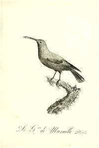 n292_w1150