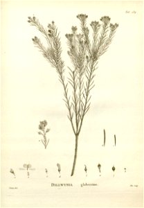 n249_w1150