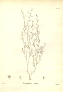 n174_w1150