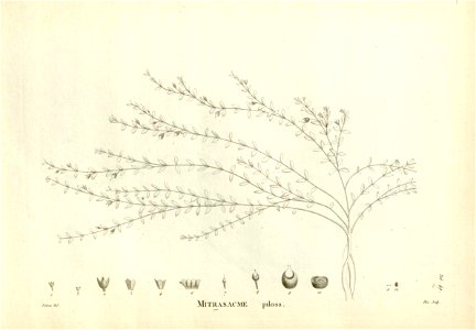 n159_w1150