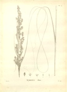 n129_w1150