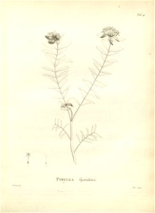 n114_w1150