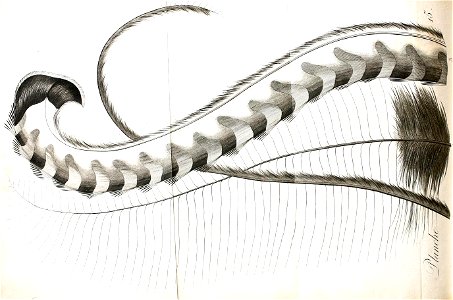 n414_w1150